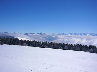 La Molière, massif de la Chartreuse