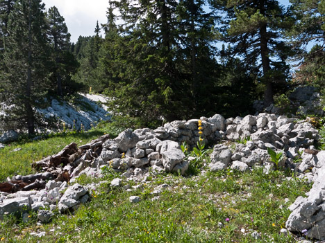 Ruine du Clos de la Fure