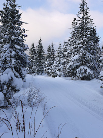 Piste damée pour quitter Corrençon