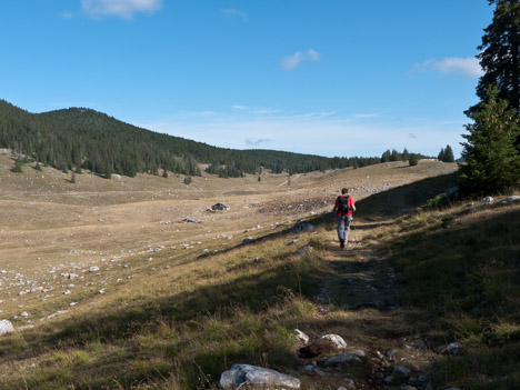 La preairie de Darbounouse