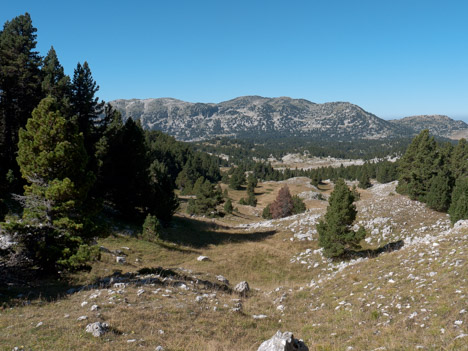 Vers la Jasse de l'Échelle