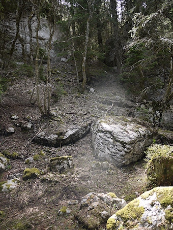 À la recherche de la Draye des Communaux