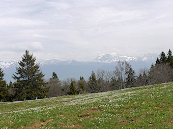 Chamrousse et le Taillefer