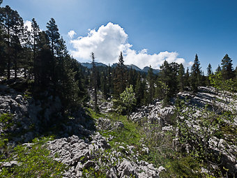 Muret du chemin de la doline