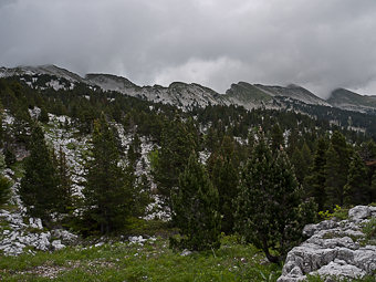 Crêtes des Rochers du Ranc Traversier