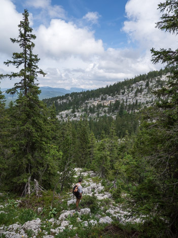 En vue, la Draye des Bergers