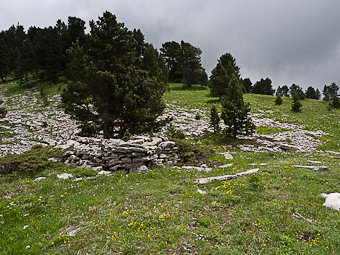 Ruine sous le Pas de Serre Brion