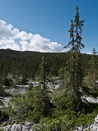 Paysage des Erges