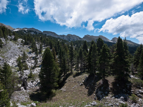 Crêtes du Ranc Traversier