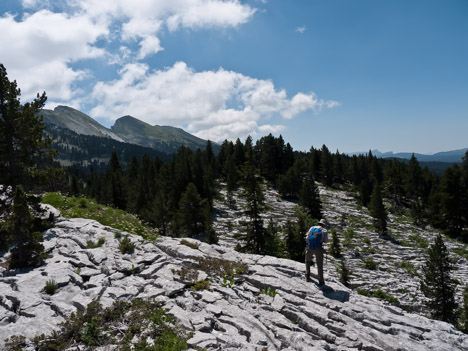 Paysage de lapiaz