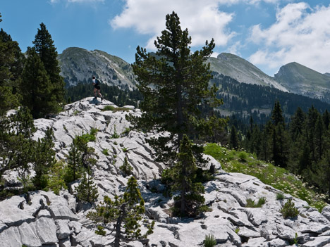 Lapiaz sous les crêtes du Ranc Traversier