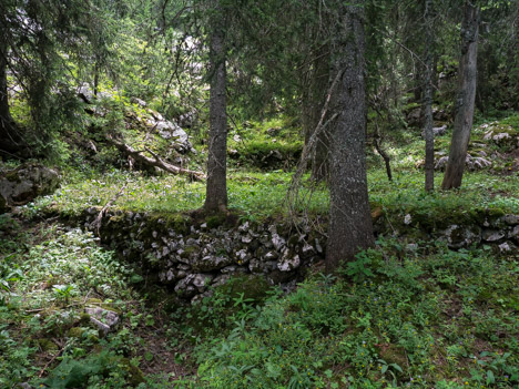 Ancienne plateforme charbonnière