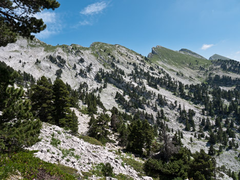 Crêtes du Ranc Traversier et Sommet de Malaval