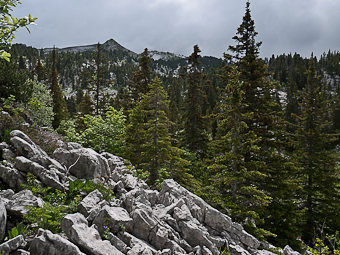 Rochers de la Peyrouse