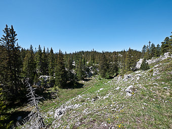 Canyon des Erges