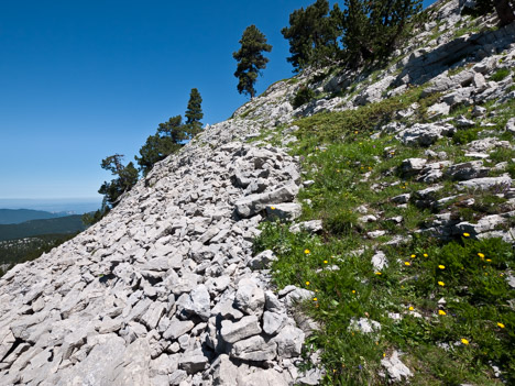 Vieux chemin de Serre Brion