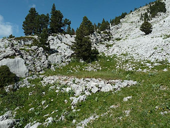 Terrasse taillée dans la pente