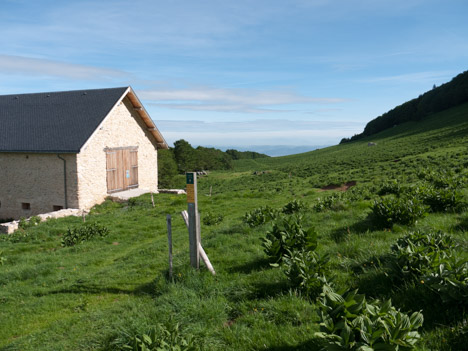 Ferme et prairie de Fessole