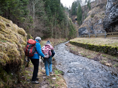 Rive droite du Furon