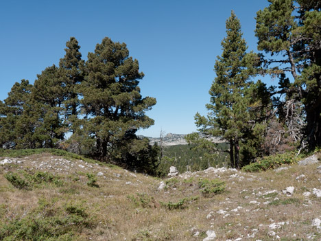 Cairn sur le sentier de la plaine de la Longue Fissole