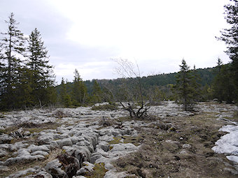 Lapiaz du Vercors