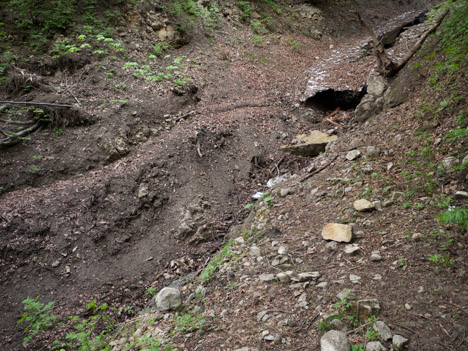 Ruisseau de l'Échinard