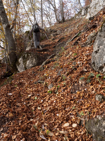 Automne sous Château Bouvier