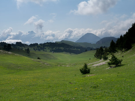 La Cabane de l'Essaure