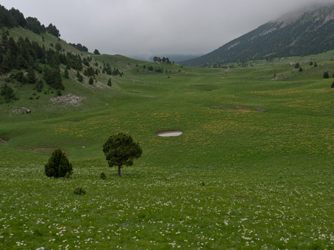 Pas de l'Essaure