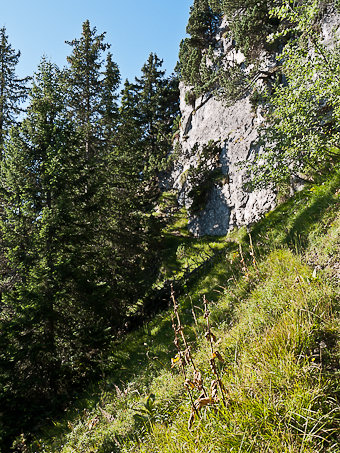 Sentier des Quatre Têtes