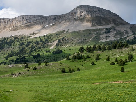 Sommet de la Montagnette