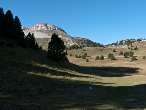 Sommet de la Montagnette