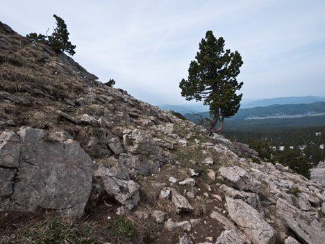 Sentier du Pas Morta