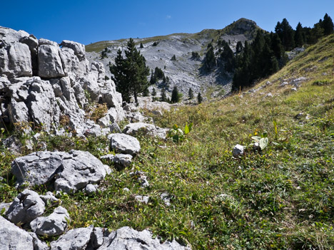 Sommet des Rochers de la Peyrouse