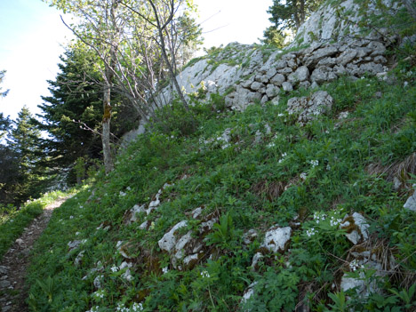 Sous le Pas de Pierre taillée