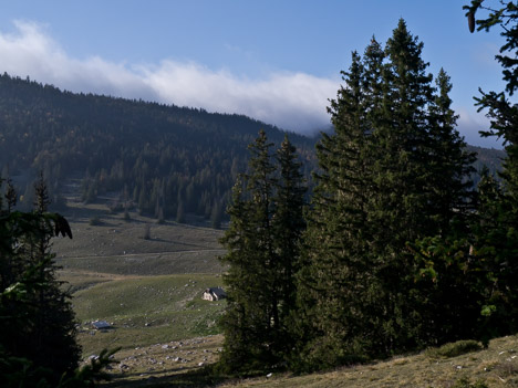 Bergerie de Darbounouse