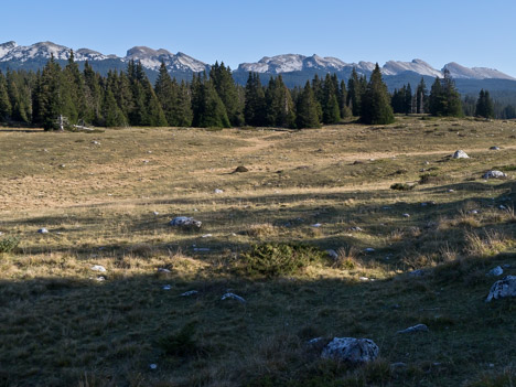 Les crêtes du Vercors