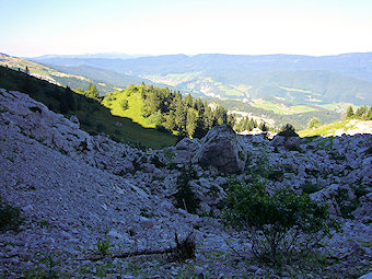 Le pied de la Combe de Pissevache