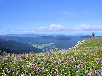 Plateau du Cornafion