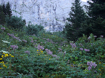 Combe de Chaulange