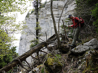 Au bord de la Draye des Communaux