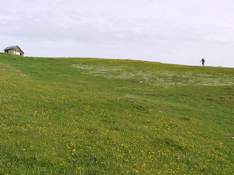 Plateau de Sornin au printemps