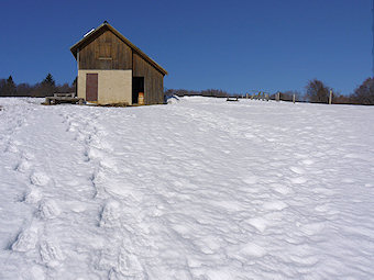 Cabane pastorale sur le Plateau de Sornin