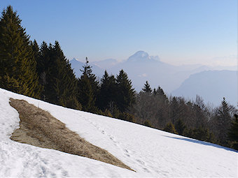 La Chartreuse