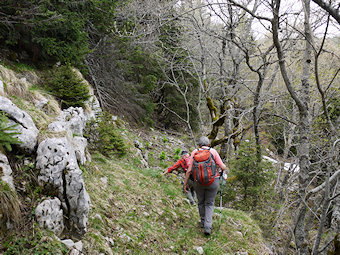 En descendant vers la Draye des Communaux