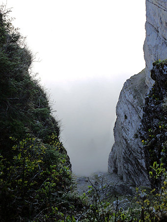 Draye des Communaux, Noyaret