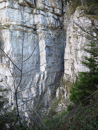 Extrêmité Sud de la Draye des Communaux