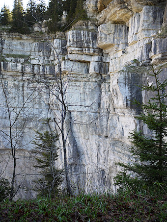 Falaise de la Draye des Communaux