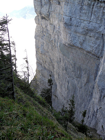 Draye des Communaux, Noyaret