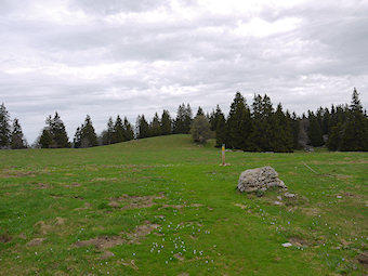 Alpages de Plénouze